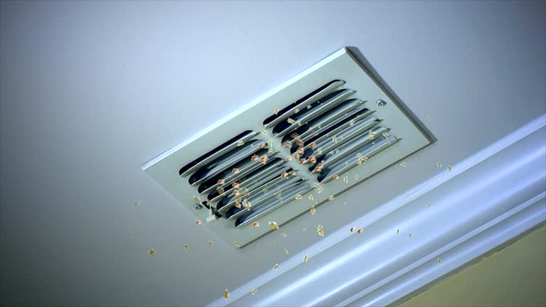 Best Air Duct Cleaning Near Me  in Farmland, IN