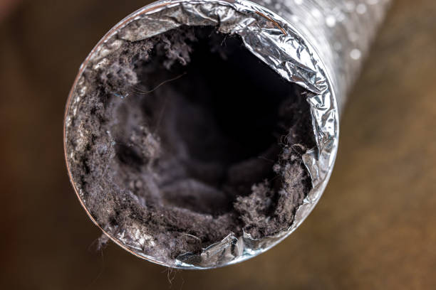 Best General Air Duct Cleaning  in Farmland, IN